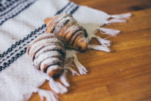 Fabrica-de-paine-Lucia-65